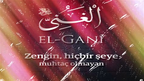 enayi anlamı