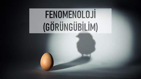 fenomenoloji nedir felsefe