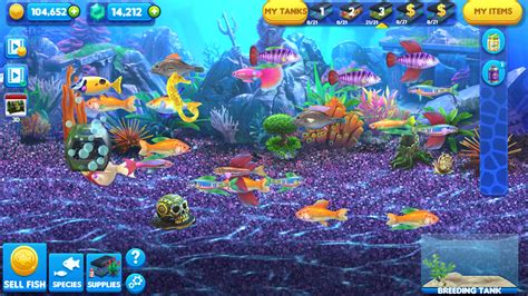 fish tank game