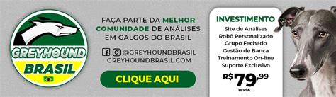 greyhound brasil