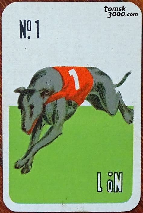 greyhound racing cards