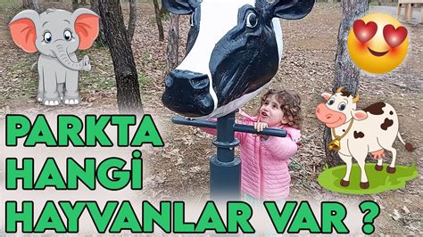 hangi hayvanlar var