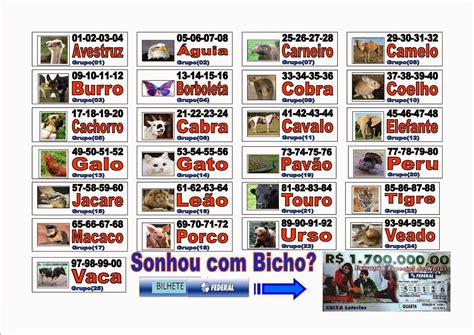 https cassinos.info dicas jogo-do-bicho-no-brasil