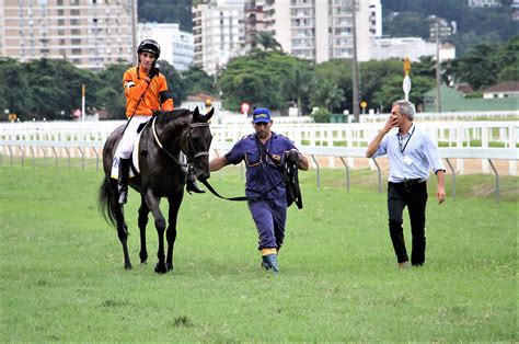 jockey club brasileiro corridas