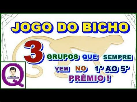 jogando jogo do bicho