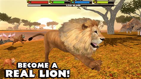 jogo do lion