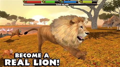 jogo lion