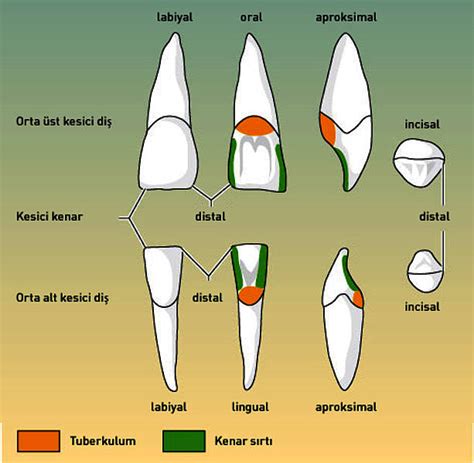 kesici vawada