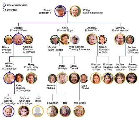 kraliyet ailesi soy ağacı