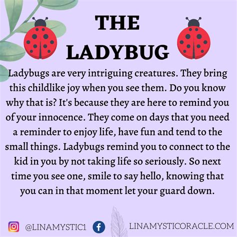 lady luck significado