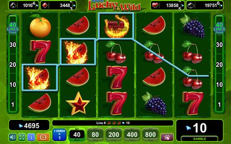 lucky wild slot bedava kumarhane oyunları