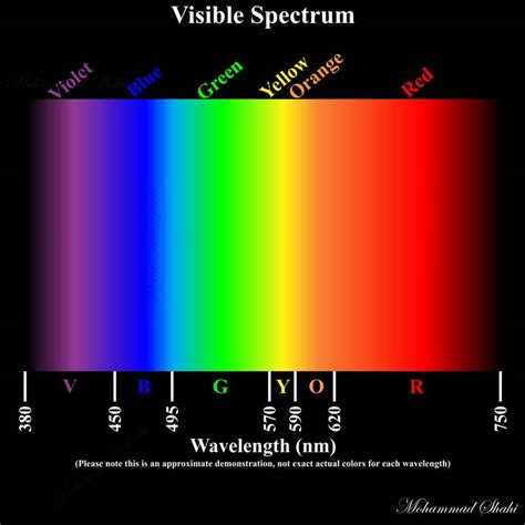luz full spectrum