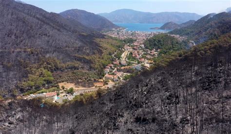 marmaris yangın öncesi sonrası