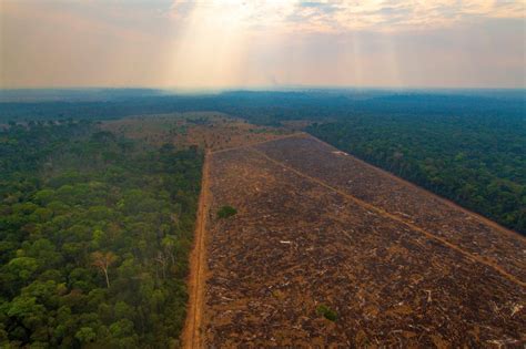 menor taxa.de desmatamento registrada na amazônia