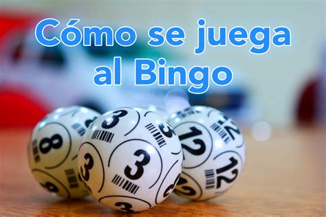o que significa bingo