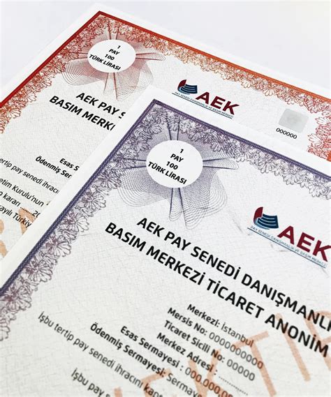 pay senedi basımı