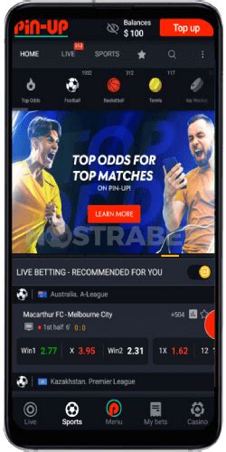 pin-up bet app download