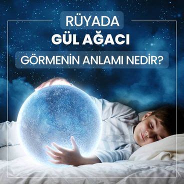 rüyada gül