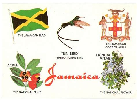 símbolo da jamaica
