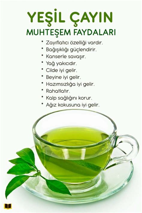sütlü yeşil çay faydaları