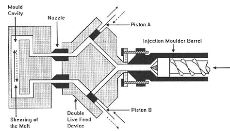 scorim bet explorer