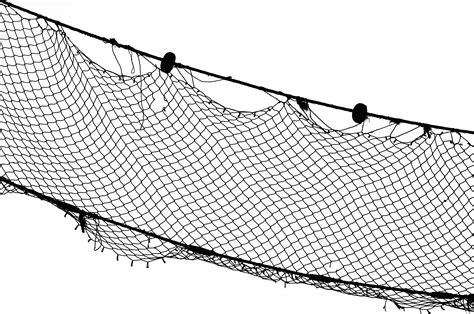 stake of net