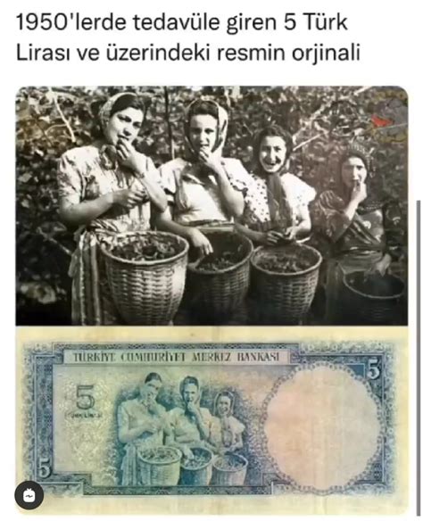 türk 5leri