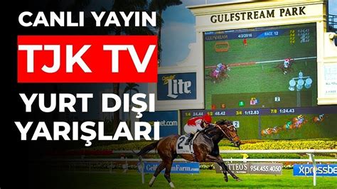 tjk tv 2 canlı yayın