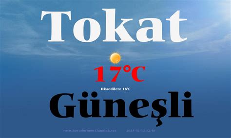 tokat 15 günlük hava durumu saatlik