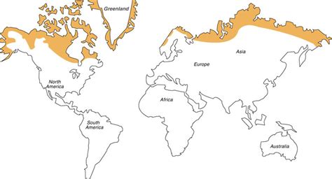 tundra mapa
