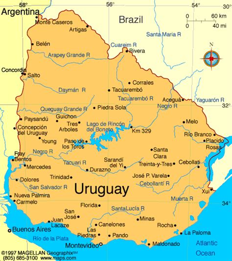 uruguai 1 divisão
