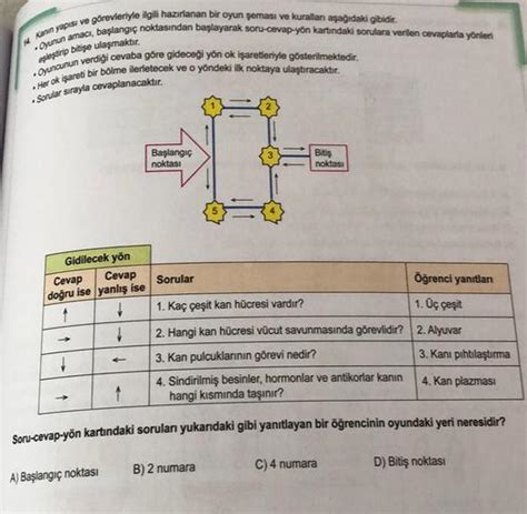 vawada oyun şeması