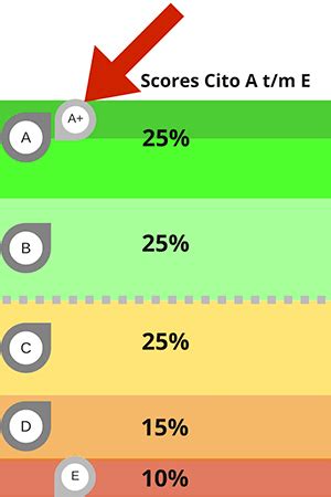 wat betekent score 2 cito