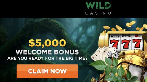 wild casino no deposit bonus