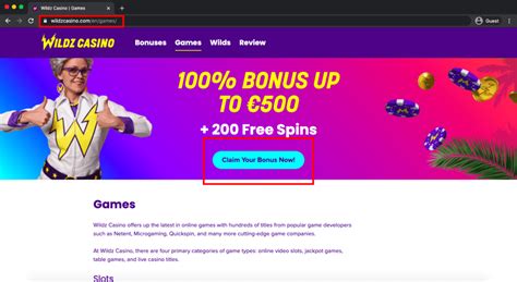 wildz casino login