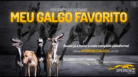 xperience galgos