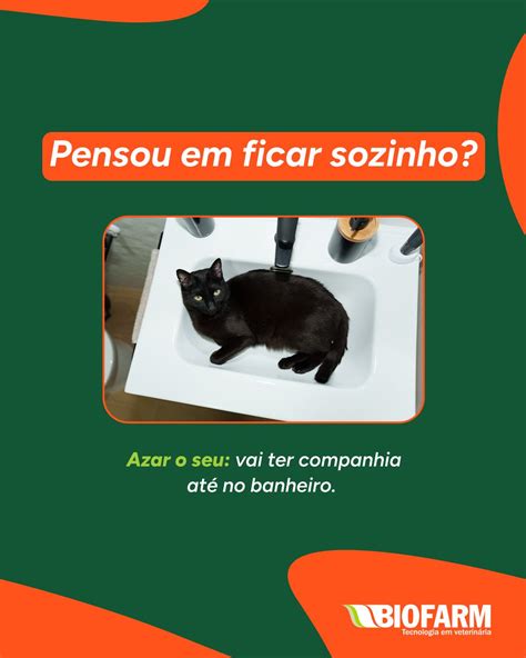 @Azaroseu Onlyfans Leaked [SEX VIDEO] 🔥 220 Photos