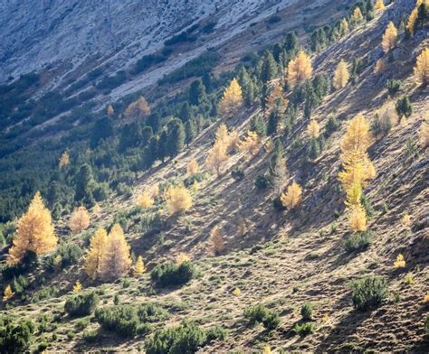 😈 [SEX VIDEO] @Charl.20 Onlyfans Leaked