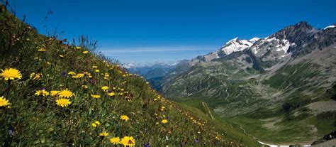 😈 @Clarej Leaked [PPV] 97 Pics