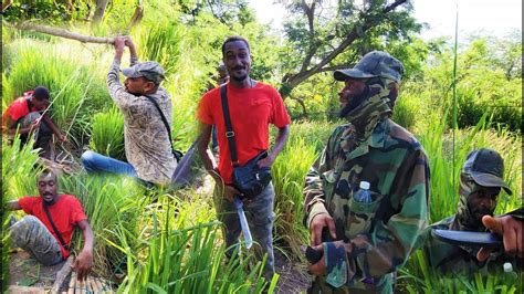 @Fowlwildlife Teaching us How to Assemble Effective … - balustradellc