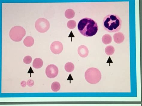 @Jasroopmalhi Onlyfans Leaked [CLIP] 💦