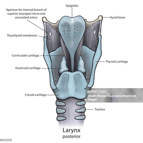 @Lrunx Leaks (SEX) 💋