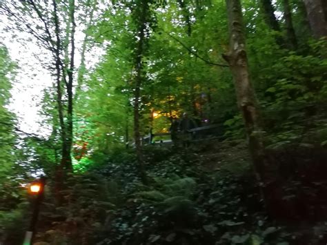 @Mermaidvoid Onlyfans Leak [SEX VIDEO] 🍆 64 Vids