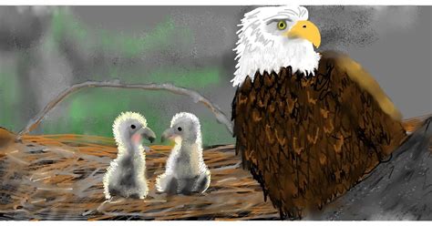 @Prettypixels Leaks PORN 241 Pics