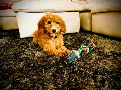 @Rayney_Daze Onlyfans Leak 😈 XXX