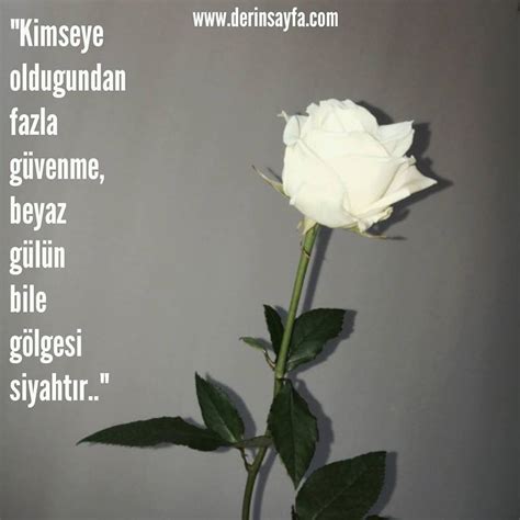 @dusuncemden__kesitler Beyaz gülün gölgesi bile siyahtır..