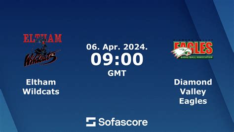 [🔴] 𝐋𝐈𝐕𝐄 𝐒𝐓𝐑𝐄𝐀𝐌𝐈𝐍𝐆: Diamond Valley Eagles vs Eltham Wildcats ...