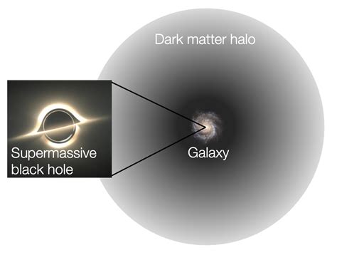 [0902.2477] Galaxy-Induced Transformation of Dark Matter Halos