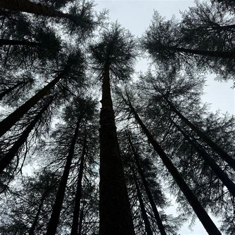 [1.4.3]ALCOR,"Advanced Landing Capsule for Orbital Rendezvous" … - muktibox.com