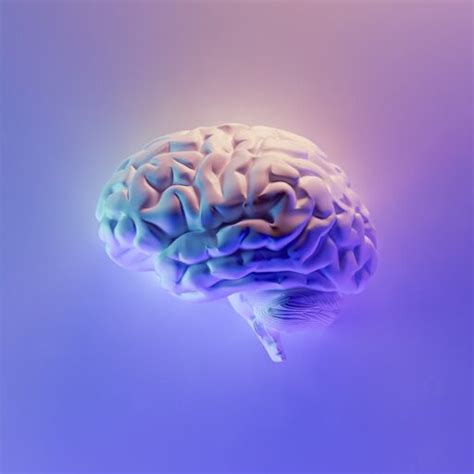 [2023] The Ultimate Guide to Brain Metrix IQ Test Find Your IQ and